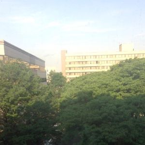 Meet your Posher, Renee